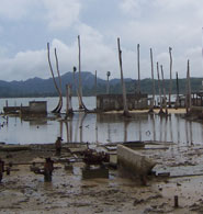 Tsunami, Andaman & Nicobar Island, 2004